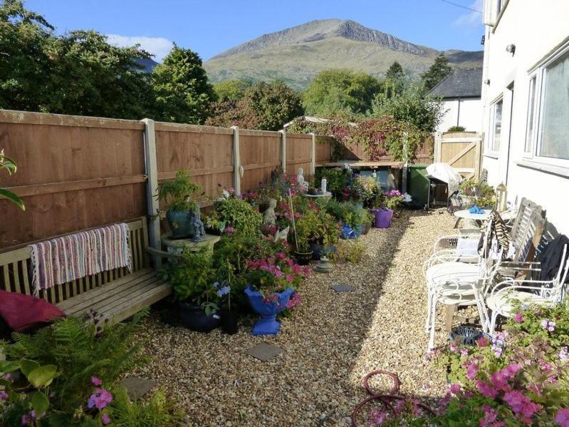 The Coach House Hotell Beddgelert Eksteriør bilde